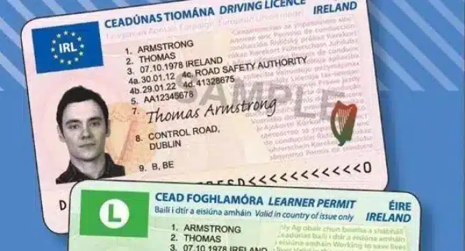 irish driving licence without test